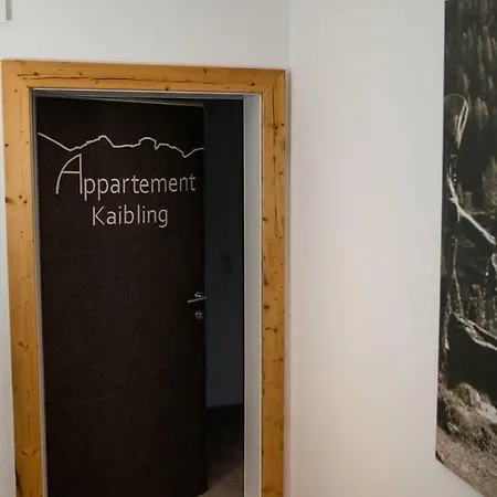 Almnest * Schladming