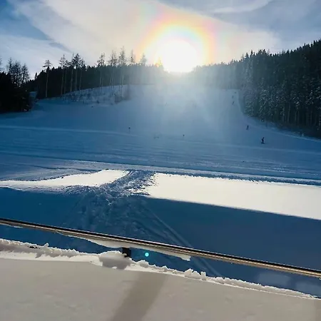 Almnest Apartment Schladming