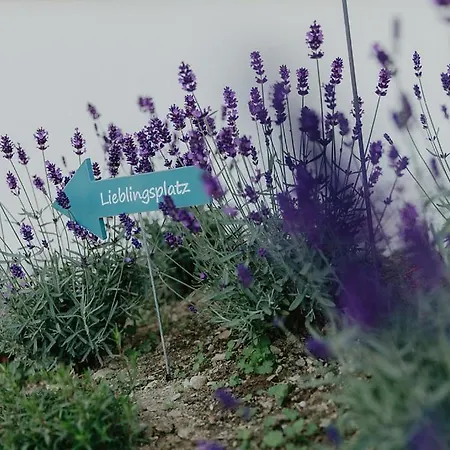 Almnest * Schladming