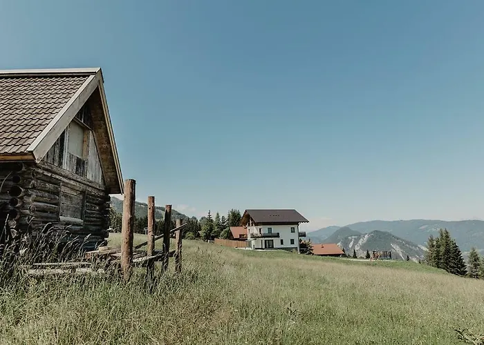 Almnest * Schladming