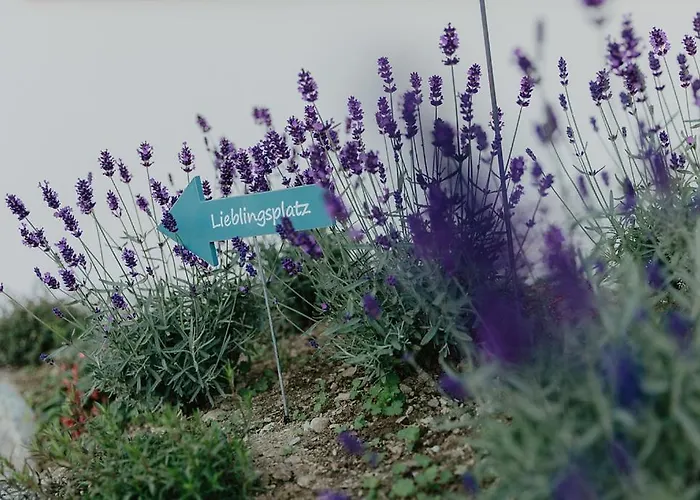 Almnest * 斯拉德明